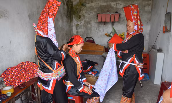 Mục tiêu và động lực phát triển