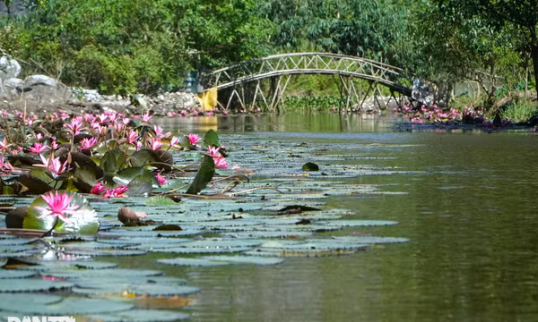 Ngắm mùa thu ở "tuyệt tình cốc" của xứ Thanh