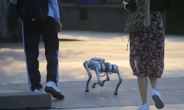 Người dân Trung Quốc lại có thú vui mới: nuôi chó robot làm cảnh
