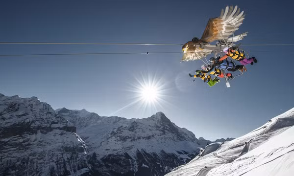 8 đường trượt zipline mạo hiểm nhất thế giới