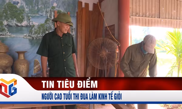 Người cao tuổi thi đua làm kinh tế giỏi