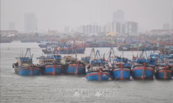 Ba kịch bản của bão số 6, theo dõi chặt chẽ diễn biến để chủ động ứng phó