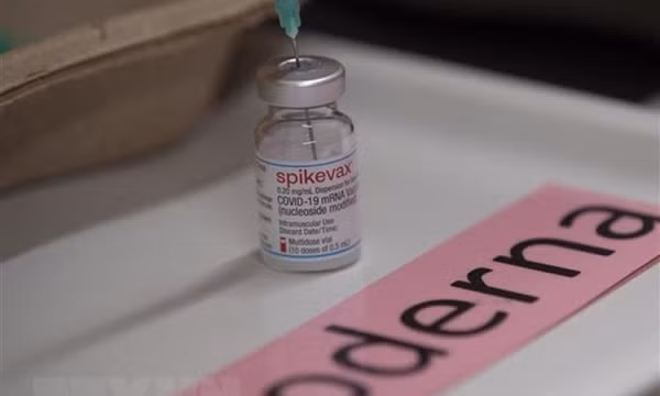 Vaccine cải tiến ngừa hiệu quả biến thể phụ BA.4 và BA.5 của Omicron