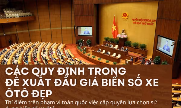 Quy định chi tiết về đề xuất đấu giá biển số ôtô đẹp