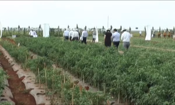 Bắt nguyên Phó Giám đốc Sở Khoa học và Công nghệ Đồng Nai