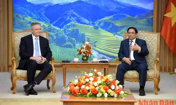 Tiếp tục thúc đẩy quan hệ hợp tác giữa Việt Nam và OECD ngày càng thực chất