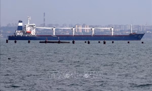 Thổ Nhĩ Kỳ và LHQ liên lạc với Nga về thỏa thuận xuất khẩu ngũ cốc