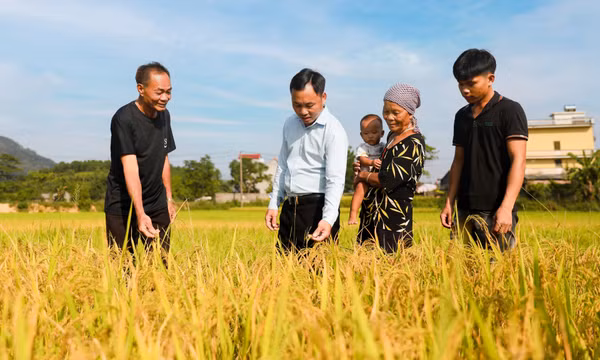Đẩy nhanh việc thực hiện đặt hàng, giao nhiệm vụ đối với các đơn vị sự nghiệp công