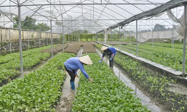 Nhân rộng mô hình đặt hàng nhiệm vụ KH&CN hiệu quả