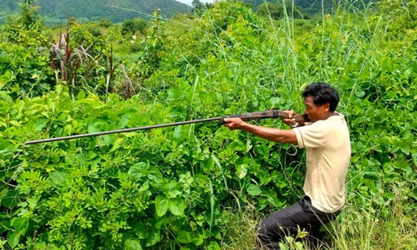 Đi săn thú rừng, người đàn ông bắn chết người trong lùm cây