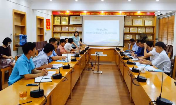 Tập huấn kiến thức bảo vệ rừng đặc dụng Vịnh Hạ Long