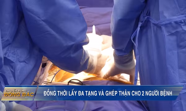 Đồng thời lấy đa tạng và ghép thận cho 2 người bệnh