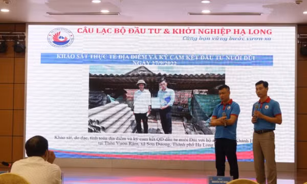 Đồng hành cùng thanh niên phát triển kinh tế