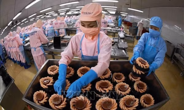 Giải ngân vốn FDI tăng trưởng 13,5%