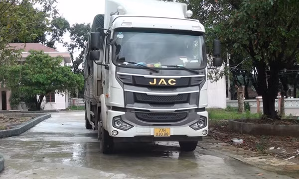 Dùng ôtô "đi săn" 54 con bò của người dân