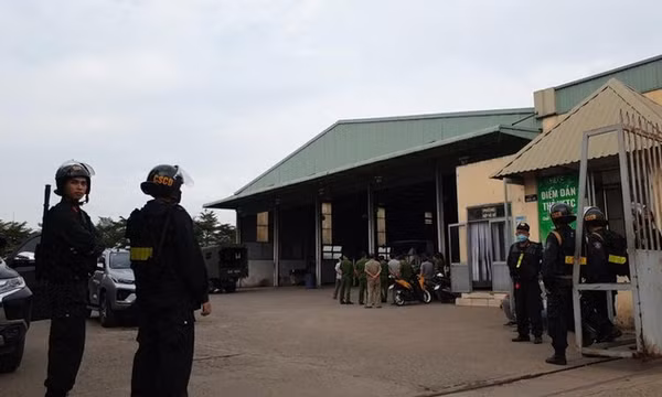 Hai trung tâm đăng kiểm tại TP Hồ Chí Minh bị tạm đình chỉ hoạt động