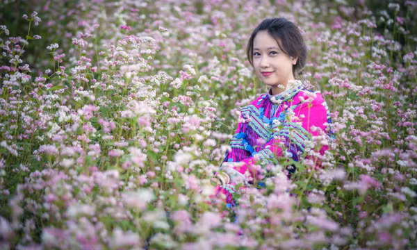 Tam giác mạch Hà Giang - màu hoa gây 'thương nhớ'