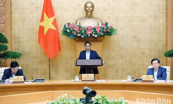 Nỗ lực hoàn thành thắng lợi các chỉ tiêu, kế hoạch của năm 2022