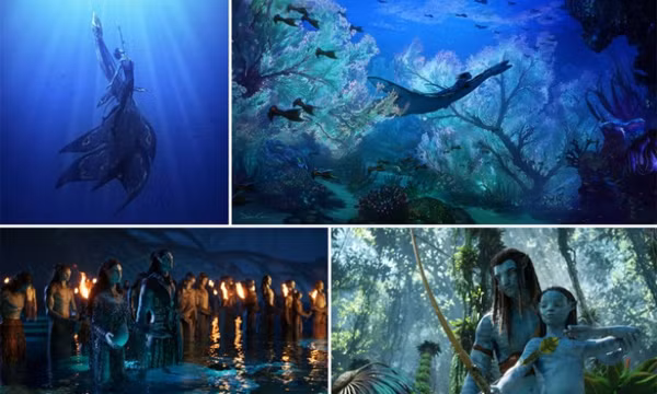 Canh bạc 'Avatar 2'