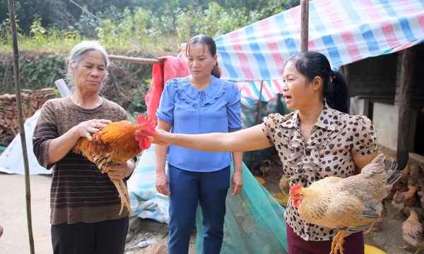 Bí thư chi bộ "Miệng nói, tay làm"