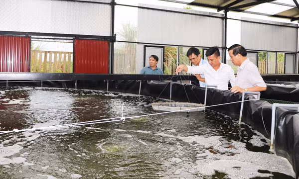 Phát triển kinh tế thuỷ sản trong bối cảnh ứng phó biến đổi khí hậu