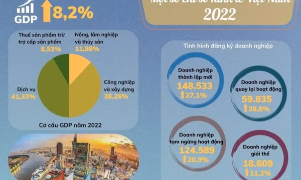 Kinh tế Việt Nam 2022: Phục hồi và phát triển vượt trội