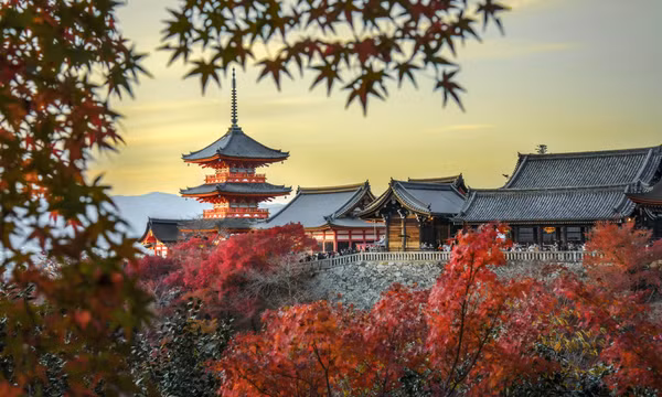 Rừng phong lá đỏ ẩn hiện giữa kiến trúc cổ kính Kyoto, tạo bức tranh tuyệt tác