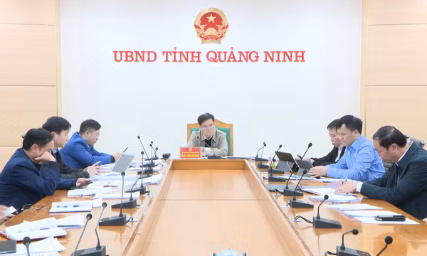 Nghe báo cáo về phương án triển khai thực hiện giao chỉ tiêu kế hoạch năm 2023