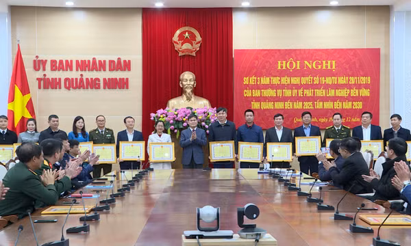 Sơ kết 3 năm thực hiện Nghị quyết 19-NQ/TU của Ban Thường vụ Tỉnh ủy