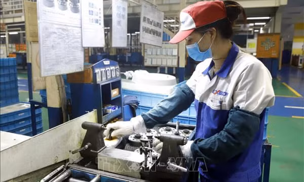 Chuyên gia kinh tế Nga đánh giá tích cực về nền kinh tế Việt Nam