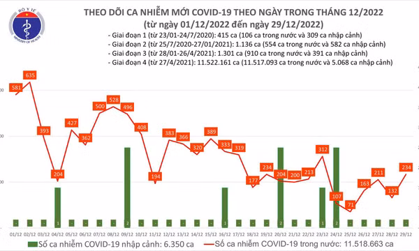 Ngày 29/12: Số mắc COVID-19 mới tăng gần gấp đôi lên 234 ca