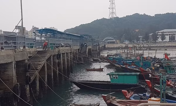 Đầu tư, nâng cấp hệ thống cảng, bến Cô Tô
