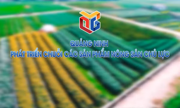 Quảng Ninh phát triển chuỗi các sản phẩm nông sản chủ lực