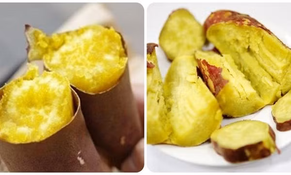 Vì sao nên ăn khoai lang luộc mỗi ngày?