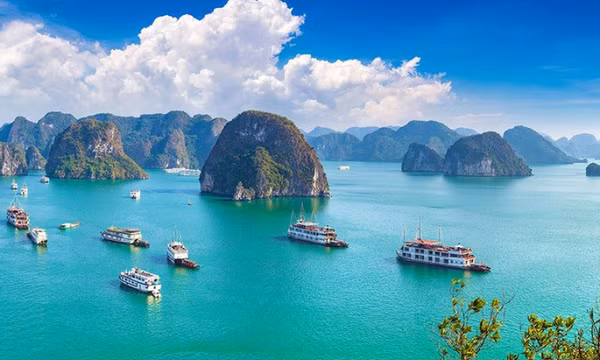 Lý do Việt Nam được chọn là điểm đến lý tưởng cho năm mới 2024