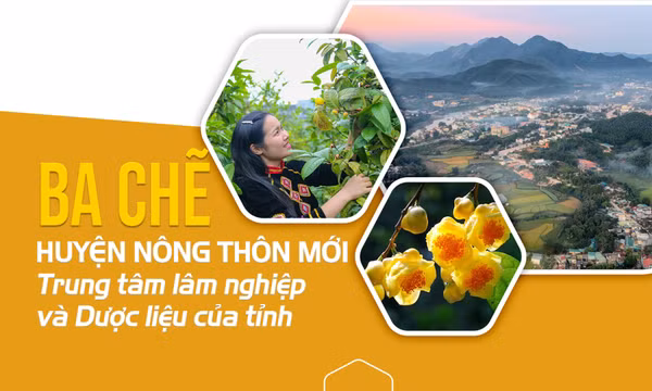 Ba Chẽ: Huyện nông thôn mới - Trung tâm lâm nghiệp và Dược liệu của tỉnh