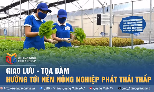 Hướng tới nền nông nghiệp phát thải thấp