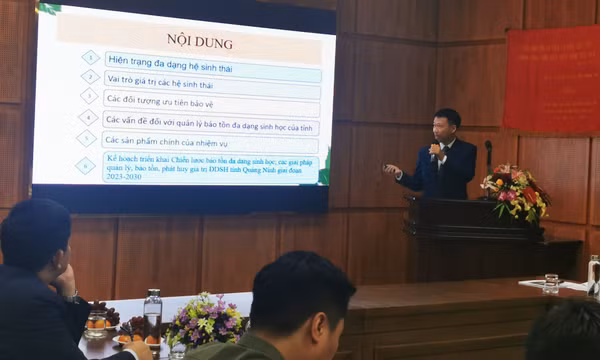 Các nhà khoa học phát hiện loài cua nước ngọt mới tại Quảng Ninh