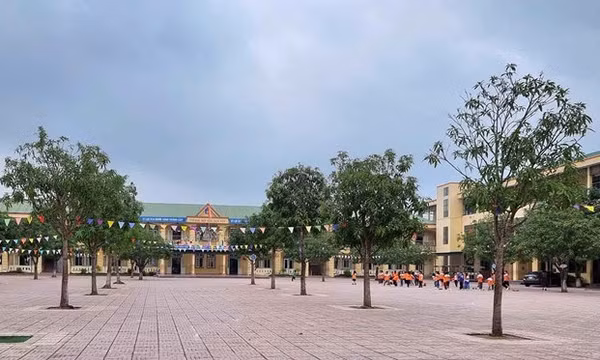 Xác minh vụ giáo viên ở Nghệ An phản ánh bị hiệu trưởng xúc phạm