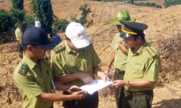 Nguyên chi cục trưởng Kiểm lâm tỉnh Quảng Trị bị khởi tố