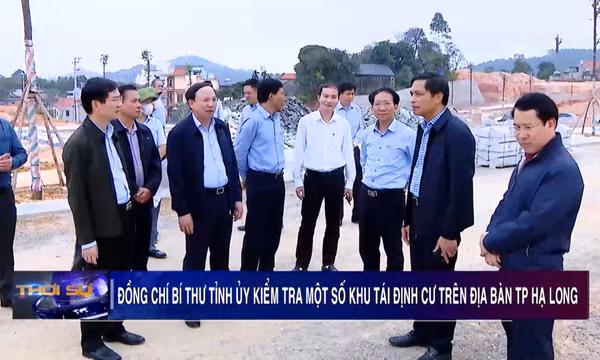 Đồng chí Bí thư Tỉnh ủy kiểm tra một số khu tái định cư, khu dân cư trên địa bàn TP Hạ Long