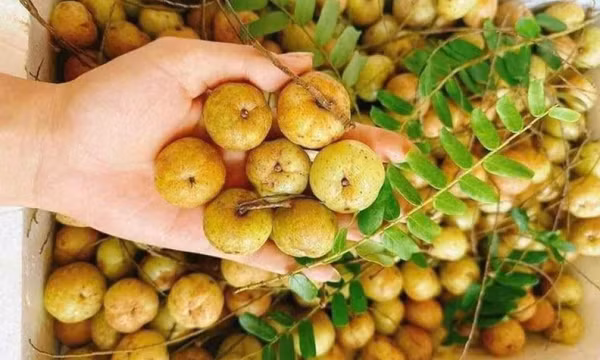 Mắc kham gây sốt ‘chợ mạng’, giá bán đắt gấp đôi
