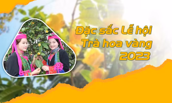 Bài 2: Đặc sắc Lễ hội Trà hoa vàng 2023