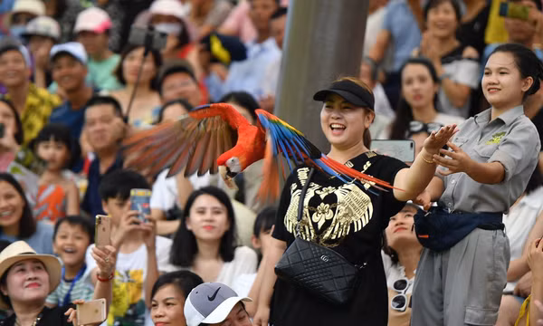 Giá vé bay Tết tăng cao, du khách chuyển hướng mua tour nước ngoài