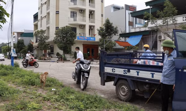  Tăng cường phòng, chống bệnh dại và quản lý động vật nuôi thả rông