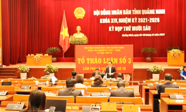 Tin tưởng và kỳ vọng