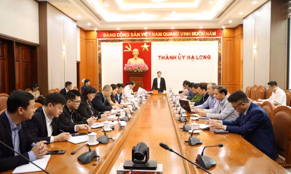 Hạ Long: Không để việc vận chuyển, kinh doanh dăm gỗ gây ảnh hưởng môi trường