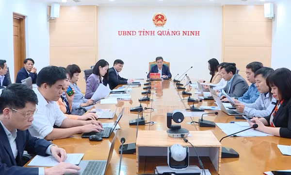 Chuẩn bị sơ kết 2 năm triển khai ghi nhớ giữa Quảng Ninh và VCCI về cải thiện môi trường đầu tư kinh doanh