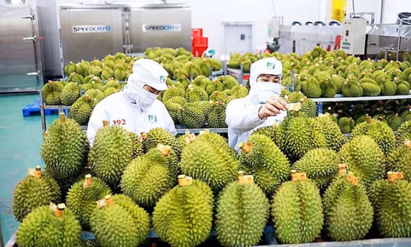 Bức tranh kinh tế Việt Nam năm 2023: Nhiều gam màu sáng