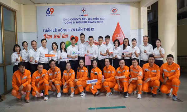 PC Quảng Ninh hưởng ứng Tuần lễ hồng EVN lần thứ IX năm 2023